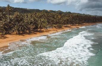 Άγιος Δομίνικος