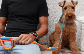 Χειροποίητο λουράκι για σκύλους hold dog