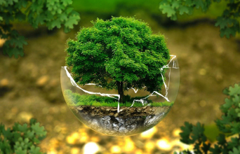 Φωτογραφία για την προστασία του περιβάλλοντος