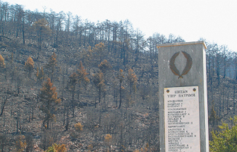 Φωτιές και καμένα