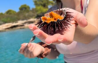 Τους πιο φρέσκους αχινούς, είναι γνωστό, τους πιάνεις μόνος σου. Με πολλές βουτιές μαζέψαμε αρκετούς και τους κάναμε μακαρονάδα. Μας πέτυχε!