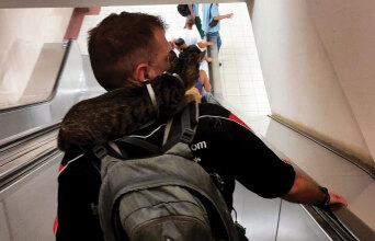 Άντρας με γάτα καθισμένη στον αυχένα του κατεβαίνει τις σκάλες του μετρό