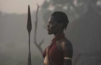 Η γυναίκα βασιλιάς (The Woman King)