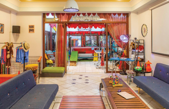 Dog n' Roll pet grooming