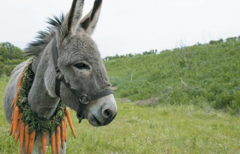 Κριτική ταινίας: ΕΟ