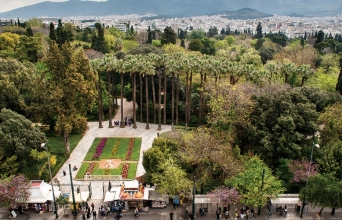 Δέντρα στην Αθήνα