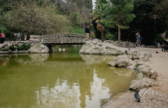 Εθνικός Κήπος