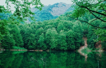 Περιβάλλον