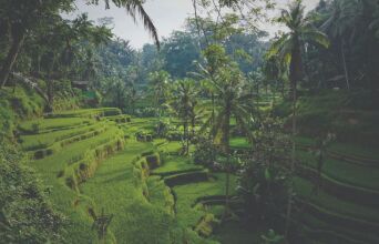 Μια ιστορία για τη βιώσιμη επιχειρηματικότητα