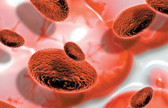 blood cells 