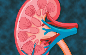 Νέα εποχή στον καρκίνο του νεφρού