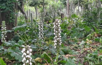Από το Πεδίον του Άρεως στη Φωκίωνος Νέγρη: Η προσωπική διαδρομή του Κωνσταντίνου Ματσούκα 