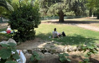 Από τη Βασιλίσσης Σοφίας στον Εθνικό Κήπο: Η προσωπική διαδρομή του Γιάννη Νένε