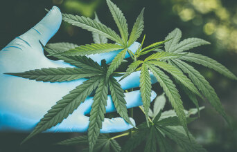 Προϊόντα φαρμακευτικής κάνναβης: Οι εγκεκριμένες θεραπευτικές τους χρήσεις και η δράση τους