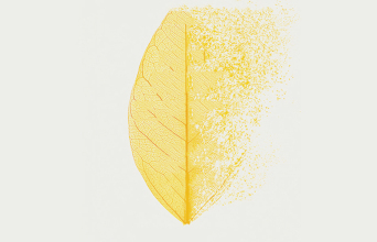 Γκαμπόρ Ματέ: Το κρυφό στρες και πώς μας επηρεάζει