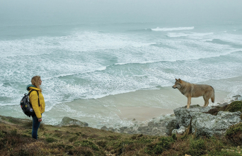 Το βιβλίο των θαυμάτων: Δέκα πράγματα που πρέπει να κάνεις πριν από το τέλος του κόσμου