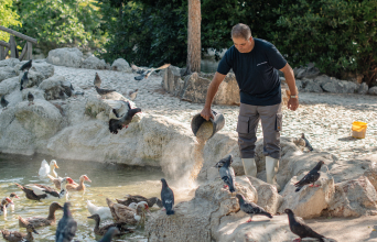 Κώστας Παρτσινέβελος 