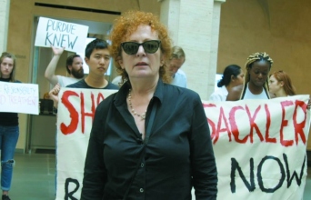 Όλη η ομορφιά και η αιματοχυσία (All the Beauty and the Bloodshed)