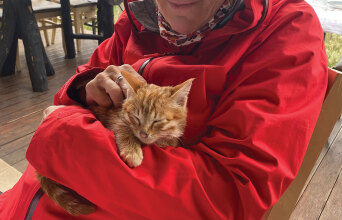 Γατάκι σε αγκαλιά γυναίκας