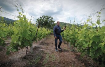 Winery Monsieur Nicolas: