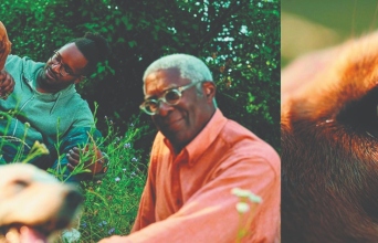 Boehringer Ingelheim