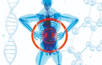 Χρόνια Νεφρική Νόσος: Η σημασία της διάγνωσης