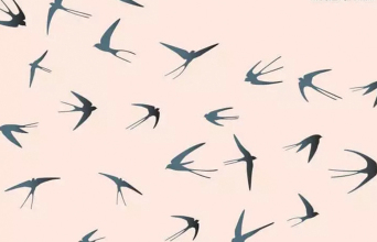 «Απειρόγωνο» του Κόλουμ ΜακΚαν, εκδ. Καστανιώτη