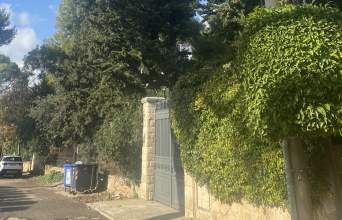 Σε βλέπω μέσα στα δέντρα