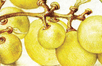 Μελίσσα Στοΐλη «Και διηγώντας τα να τρως - Ιστορίες και συνταγές εδεσμάτων», εκδόσεις Κίχλη