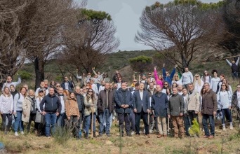 Παπαστράτος: Αναδάσωση Πεντέλης
