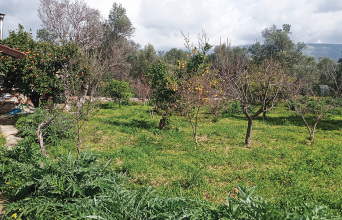 Τα δωμάτια των συγγραφέων: Γιάννης Μακριδάκης