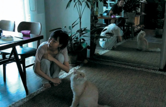 Μέσα στη μέρα: Ρουτινιάρικος Χονγκ Σανγκ-σου