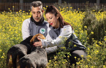 Το «πράσινο» Dog City