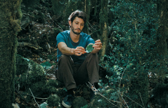 Το λυσάρι της ζωής