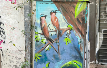 Street art στο καφάο  στον πεζόδρομο της οδού Μαυροκορδάτου