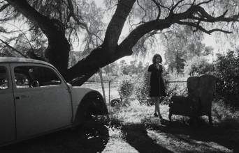 Φρίμοντ: Ο ασπρόμαυρος ανθρωπισμός του Mπαμπάκ Τζαλαλί 