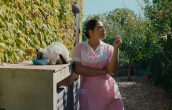 Η σιωπηλή καμαριέρα