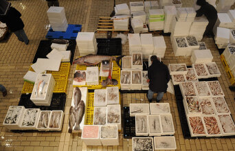 Χαράματα στην Ιχθυόσκαλα Κερατσινίου με τη Μάρω Κουρή