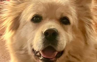 Καλοκαίρι: Αναγνώσεις, αναρρώσεις, απώλειες