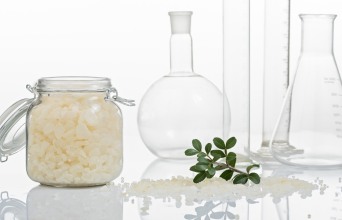 Tα οφέλη της µαστίχας