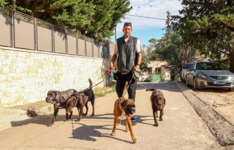 Οι pet sitters της Αθήνας