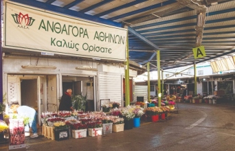 Ανθαγορά Αθηνών: Η καρδιά του ελληνικού λουλουδιού χτυπάει στη Ριζούπολη