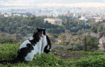 Παρακολουθώντας το τέλος του κόσμου από την Ακρόπολη