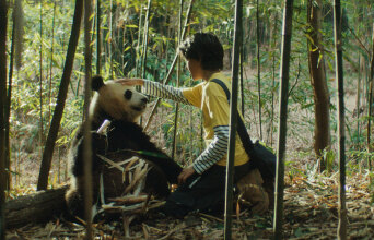 Το μικρό μου πάντα: Μια φιλόζωη περιπέτεια από τη μακρινή Κίνα