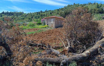 Καθαρίζω το χωράφι μου, ας εισβάλλω και στου γείτονα