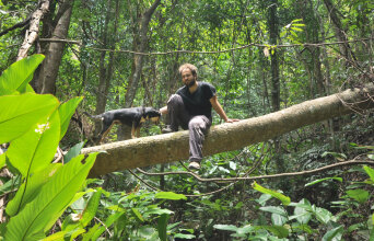Παύλος Γεωργιάδης