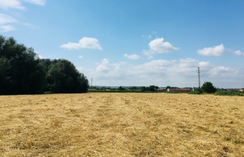 ΟΠΕΚΕΠΕ: Ψεύτικοι βοσκότοποι και το σκάνδαλο των επιδοτήσεων 