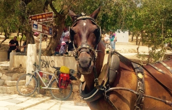 Tο αργό τράβελινγκ του αθηναϊκού καλοκαιριού