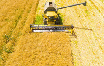 Σκάνδαλο ΟΠΕΚΕΠΕ: Ένα βήμα μπρος, δύο βήματα πίσω