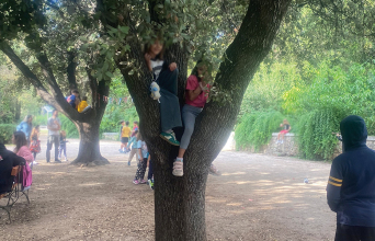 Σε βλέπω σκαρφαλωμένη πάνω στο δέντρο